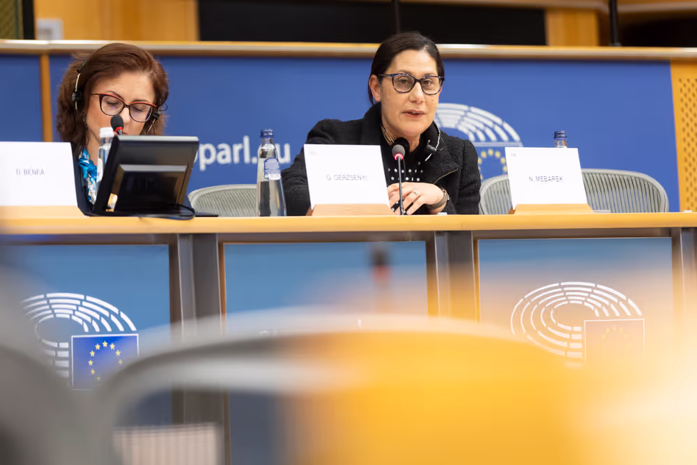 REGI - A revamped long-term budget for the Union in a changing world