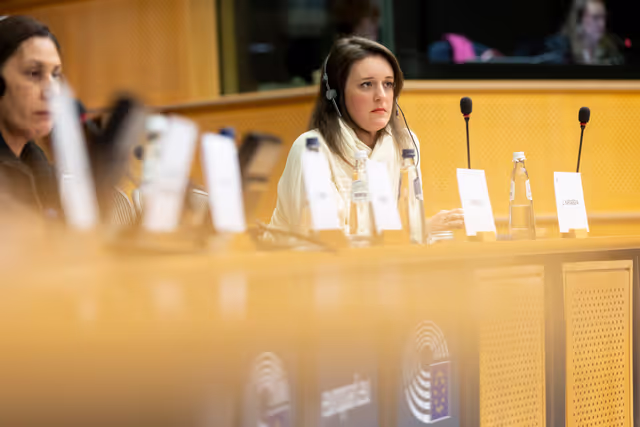 Photo 12: REGI - A revamped long-term budget for the Union in a changing world