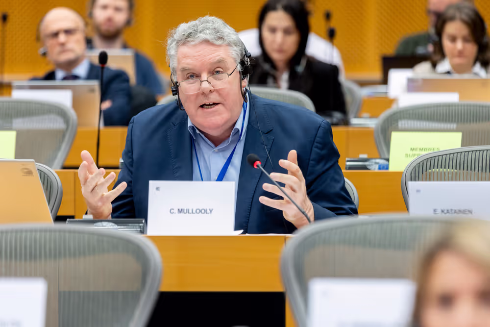 REGI - A revamped long-term budget for the Union in a changing world