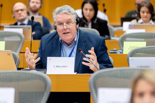 Photo 6: REGI - A revamped long-term budget for the Union in a changing world