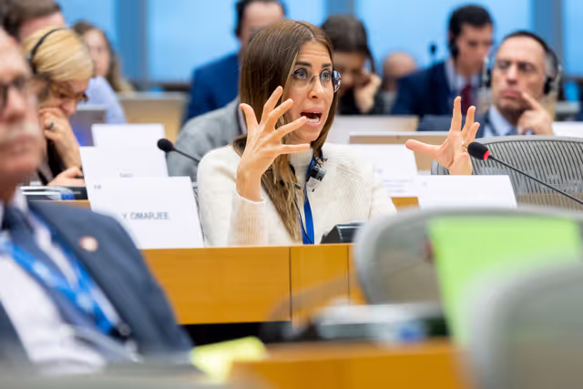 Photo 1: REGI - A revamped long-term budget for the Union in a changing world