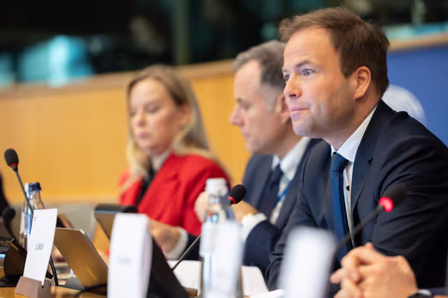 Снимка 5: AFCO  - Presentation of the Programme of the Polish Presidency of the Council