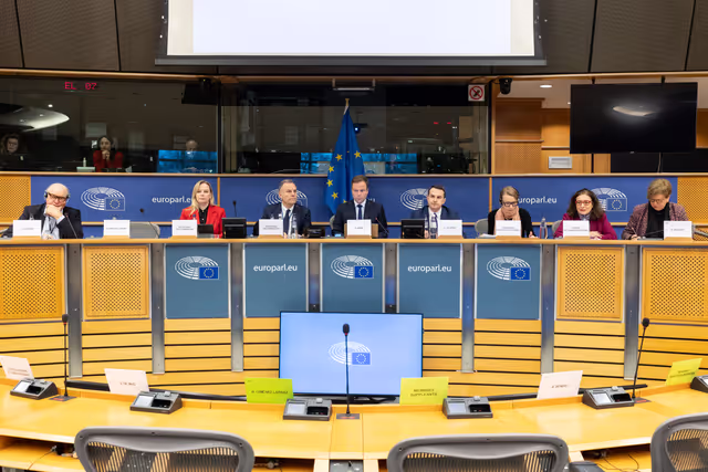 Снимка 21: AFCO  - Presentation of the Programme of the Polish Presidency of the Council