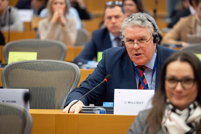 Fotó 11: New special committee on Housing Crisis - HOUS constitutive meeting