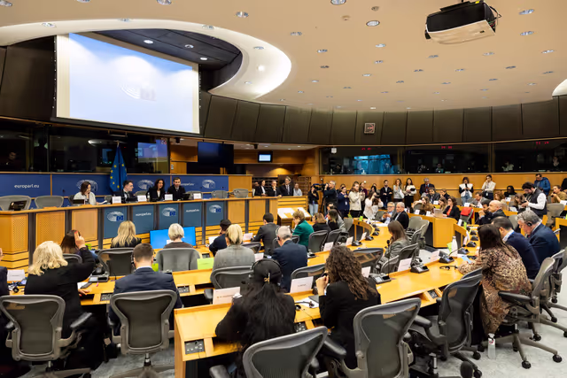 Fotó 16: New special committee on Housing Crisis - HOUS constitutive meeting