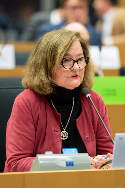 Fotografia 33: Special committee on the European Democracy Shield (EUDS) constitutive meeting