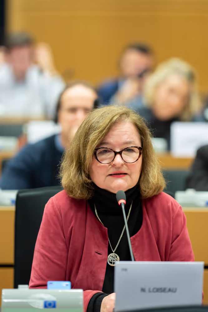 Special committee on the European Democracy Shield (EUDS) constitutive meeting