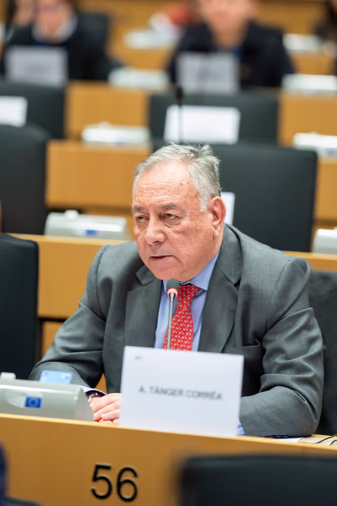 Special committee on the European Democracy Shield (EUDS) constitutive meeting