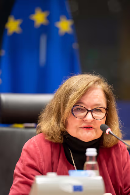 Fotografia 25: Special committee on the European Democracy Shield (EUDS) constitutive meeting