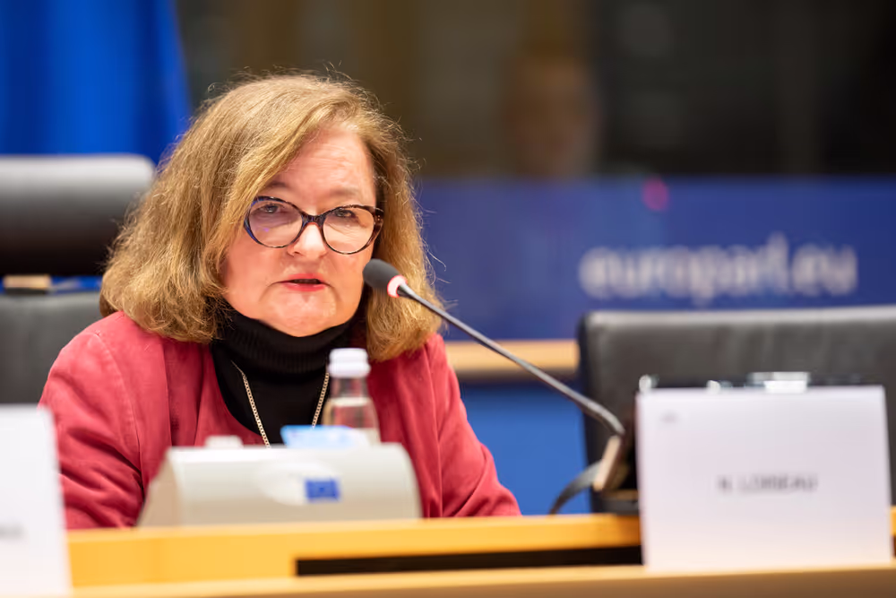 Special committee on the European Democracy Shield (EUDS) constitutive meeting