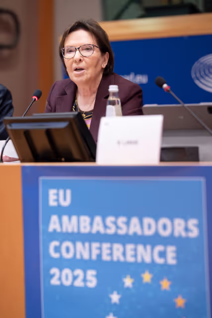 Valokuva 36: 2025 EU Ambassadors Conference - Enhancing parliamentary diplomacy as a powerful instrument in EU’s foreign policy arsenal