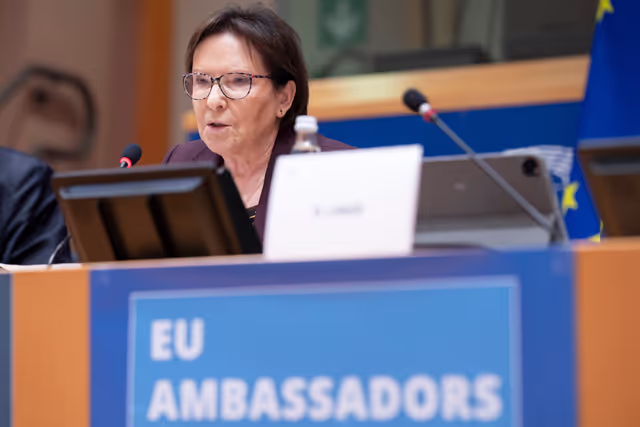 Valokuva 37: 2025 EU Ambassadors Conference - Enhancing parliamentary diplomacy as a powerful instrument in EU’s foreign policy arsenal