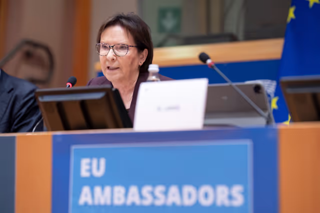 Valokuva 38: 2025 EU Ambassadors Conference - Enhancing parliamentary diplomacy as a powerful instrument in EU’s foreign policy arsenal