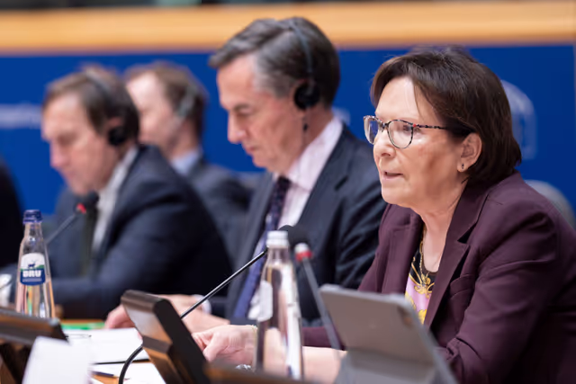 Valokuva 33: 2025 EU Ambassadors Conference - Enhancing parliamentary diplomacy as a powerful instrument in EU’s foreign policy arsenal