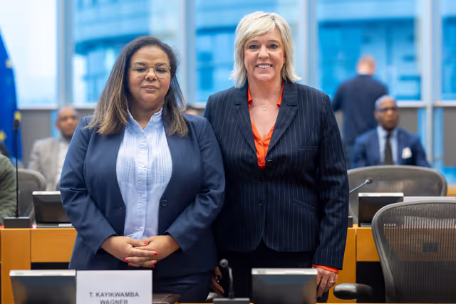 Foto 19: Delegation to the Africa-EU Parliamentary Assembly (DFAR) meeting