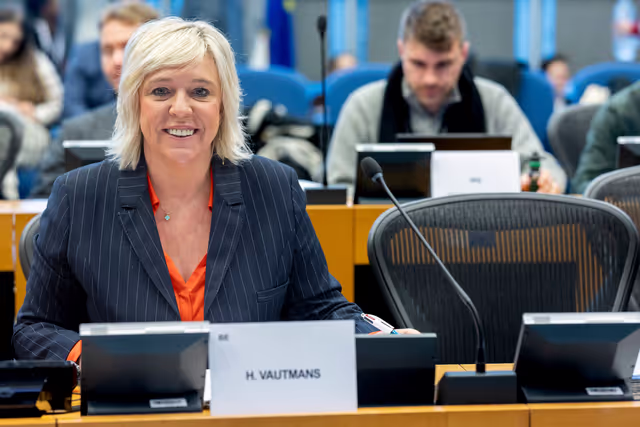 Foto 16: Delegation to the Africa-EU Parliamentary Assembly (DFAR) meeting