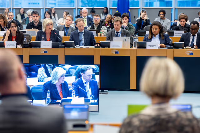 Foto 13: Delegation to the Africa-EU Parliamentary Assembly (DFAR) meeting