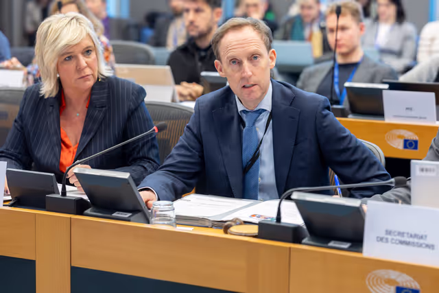 Foto 7: Delegation to the Africa-EU Parliamentary Assembly (DFAR) meeting