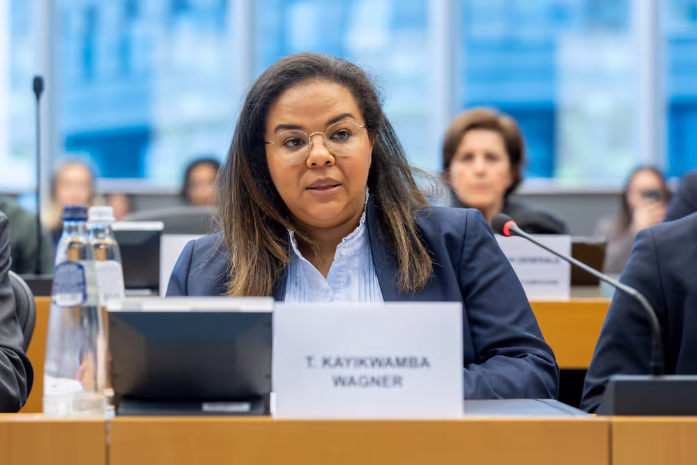 Delegation to the Africa-EU Parliamentary Assembly (DFAR) meeting