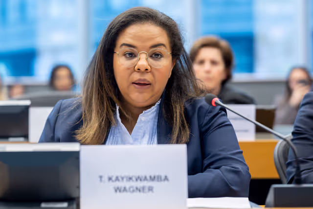 Foto 4: Delegation to the Africa-EU Parliamentary Assembly (DFAR) meeting