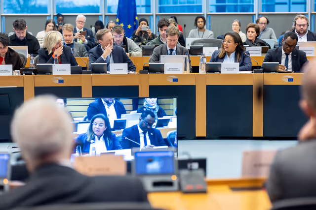 Foto 2: Delegation to the Africa-EU Parliamentary Assembly (DFAR) meeting