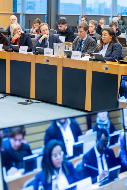 Foto 1: Delegation to the Africa-EU Parliamentary Assembly (DFAR) meeting