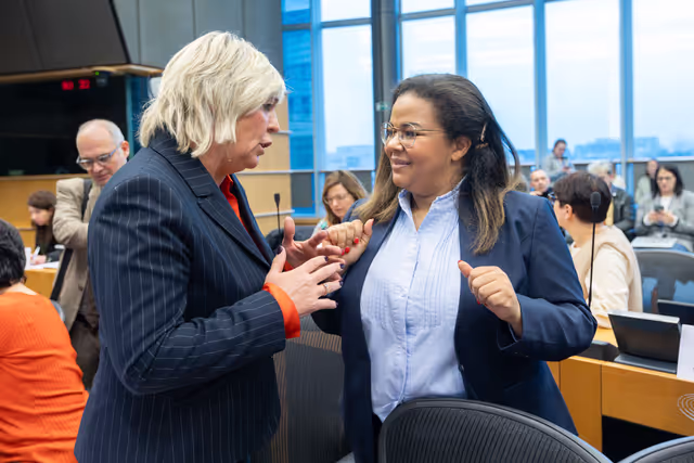 Foto 18: Delegation to the Africa-EU Parliamentary Assembly (DFAR) meeting