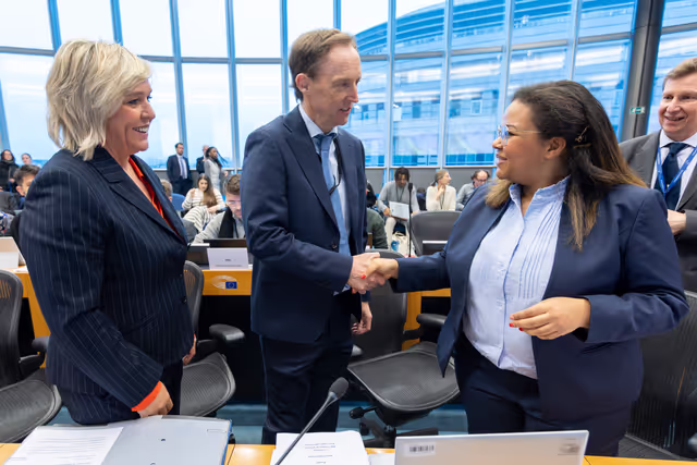 Foto 15: Delegation to the Africa-EU Parliamentary Assembly (DFAR) meeting