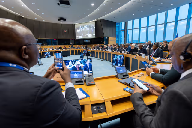 Foto 11: Delegation to the Africa-EU Parliamentary Assembly (DFAR) meeting