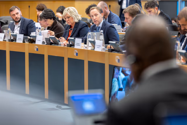 Foto 8: Delegation to the Africa-EU Parliamentary Assembly (DFAR) meeting