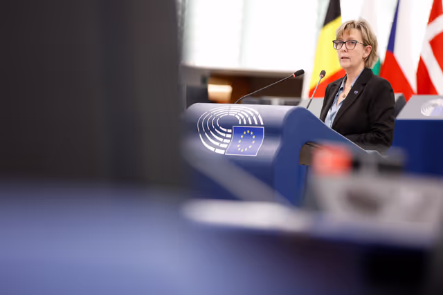 EP Plenary session - Escalation of gang violence in Sweden and strengthening the fight against organised crime