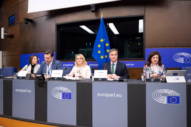 Снимка 28: Media Seminar - Roundtable on ' Defending Europe's Digital Integrity: Addressing Social Media Challenges and Foreign Interference '