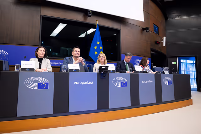 Media Seminar - Roundtable on ' Defending Europe's Digital Integrity: Addressing Social Media Challenges and Foreign Interference '