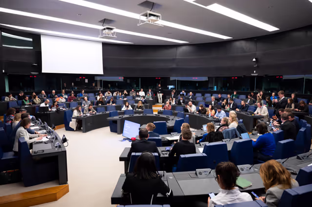 Снимка 16: Media Seminar - Roundtable on ' Defending Europe's Digital Integrity: Addressing Social Media Challenges and Foreign Interference '