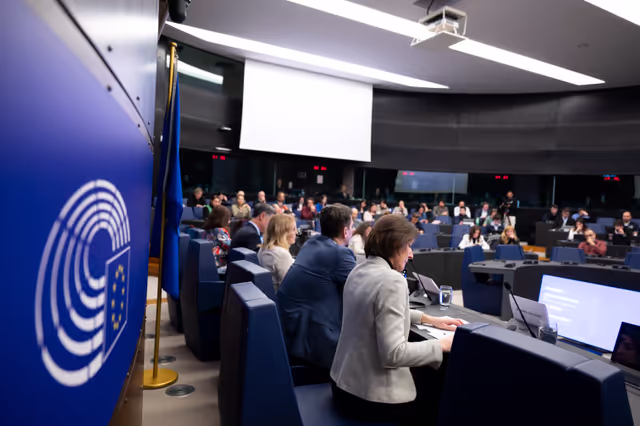 Снимка 15: Media Seminar - Roundtable on ' Defending Europe's Digital Integrity: Addressing Social Media Challenges and Foreign Interference '