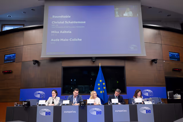 Снимка 12: Media Seminar - Roundtable on ' Defending Europe's Digital Integrity: Addressing Social Media Challenges and Foreign Interference '