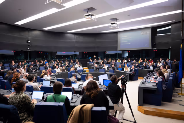 Снимка 6: Media Seminar - Roundtable on ' Defending Europe's Digital Integrity: Addressing Social Media Challenges and Foreign Interference '