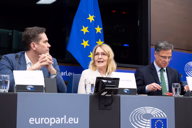 Снимка 21: Media Seminar - Roundtable on ' Defending Europe's Digital Integrity: Addressing Social Media Challenges and Foreign Interference '