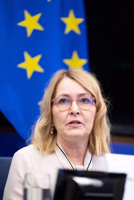 Снимка 18: Media Seminar - Roundtable on ' Defending Europe's Digital Integrity: Addressing Social Media Challenges and Foreign Interference '
