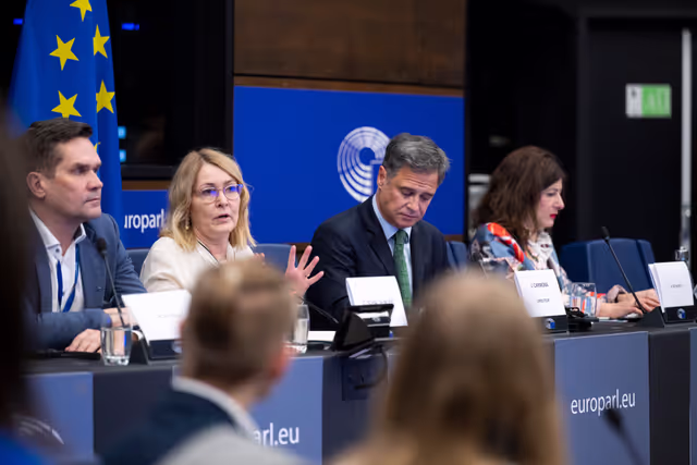 Снимка 14: Media Seminar - Roundtable on ' Defending Europe's Digital Integrity: Addressing Social Media Challenges and Foreign Interference '