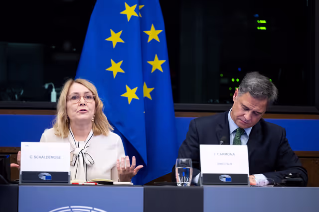Снимка 13: Media Seminar - Roundtable on ' Defending Europe's Digital Integrity: Addressing Social Media Challenges and Foreign Interference '