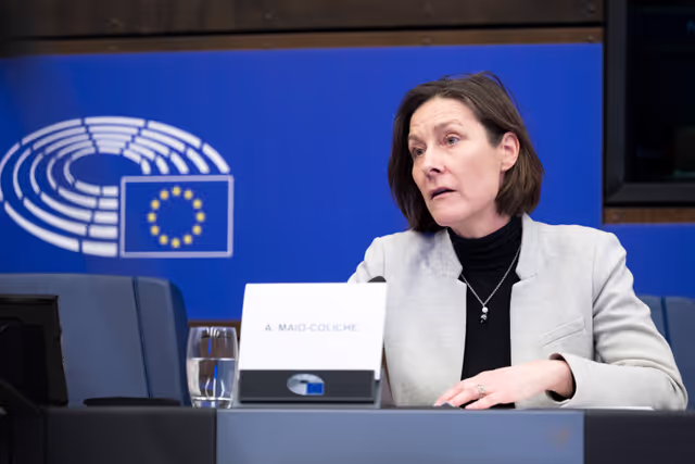 Снимка 5: Media Seminar - Roundtable on ' Defending Europe's Digital Integrity: Addressing Social Media Challenges and Foreign Interference '