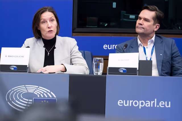 Снимка 4: Media Seminar - Roundtable on ' Defending Europe's Digital Integrity: Addressing Social Media Challenges and Foreign Interference '