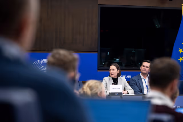 Снимка 2: Media Seminar - Roundtable on ' Defending Europe's Digital Integrity: Addressing Social Media Challenges and Foreign Interference '