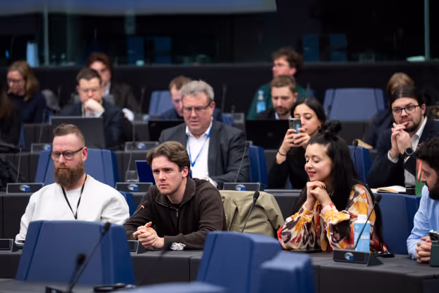 Снимка 1: Media Seminar - Roundtable on ' Defending Europe's Digital Integrity: Addressing Social Media Challenges and Foreign Interference '
