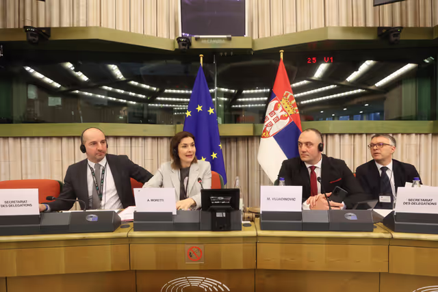 16th Meeting of the EU-Serbia Stabilisation and Association Parliamentary Committee - Voting session