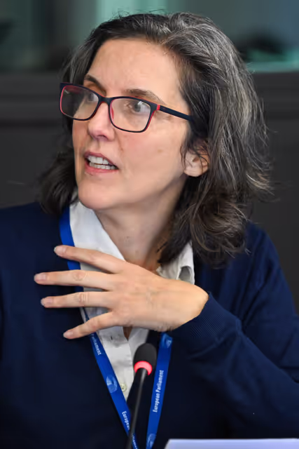 Fotografie 22: Intergroup on Resilience, Disaster management, and Civil protection - Constitutive meeting