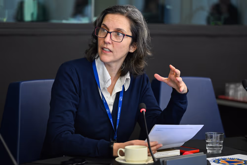 Intergroup on Resilience, Disaster management, and Civil protection - Constitutive meeting