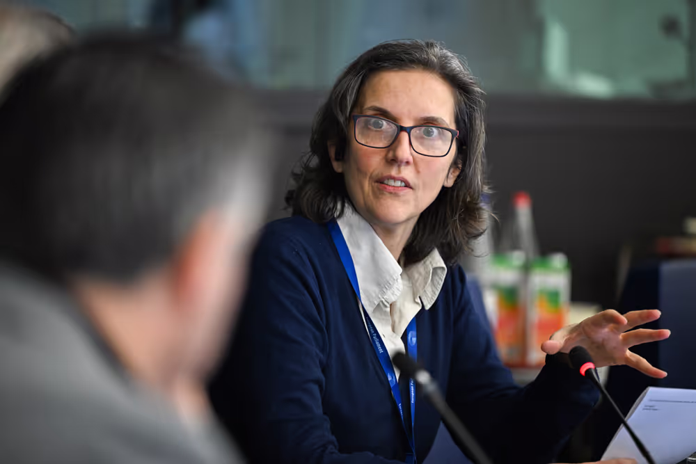 Intergroup on Resilience, Disaster management, and Civil protection - Constitutive meeting