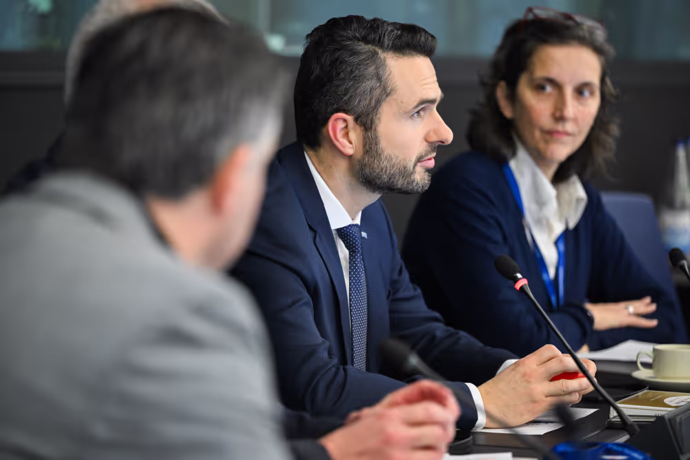 Intergroup on Resilience, Disaster management, and Civil protection - Constitutive meeting